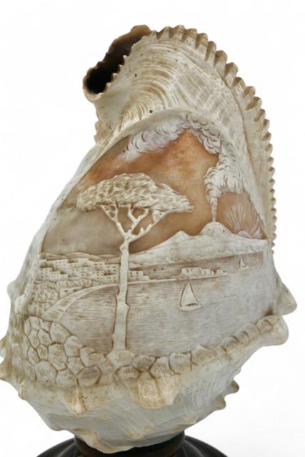 Grote Camee schelp - lamp