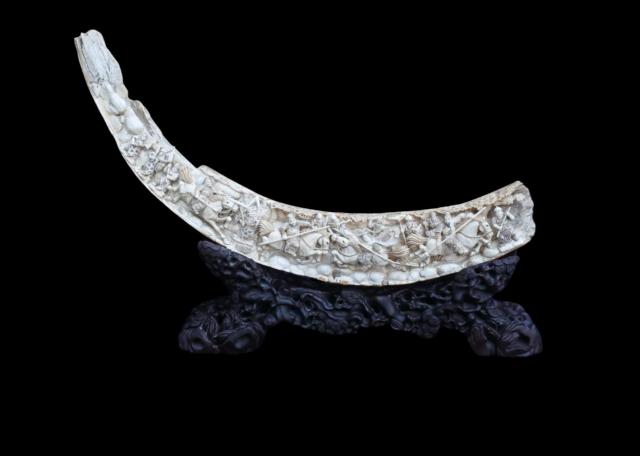 D&eacute;fense de mammouth laineux sculpt&eacute;e